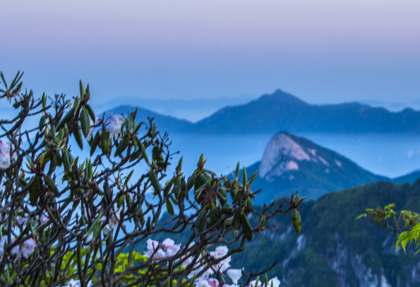 安徽省文旅投控集团党委举办深入贯彻中央八项规定精神学习教育专题党课报告会