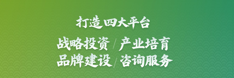 产业布局四大平台
